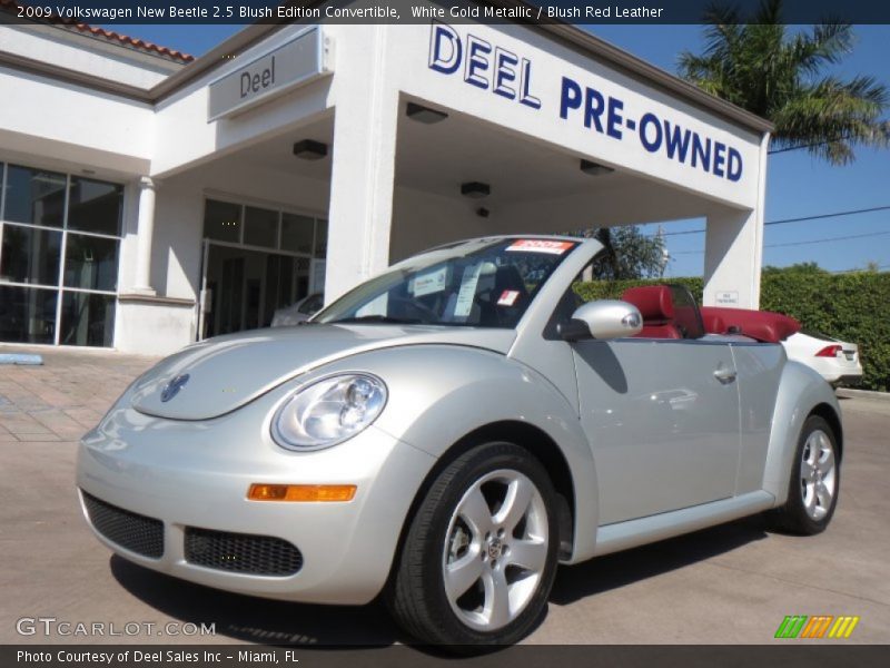 White Gold Metallic / Blush Red Leather 2009 Volkswagen New Beetle 2.5 Blush Edition Convertible