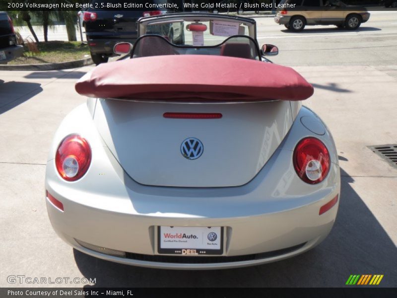 White Gold Metallic / Blush Red Leather 2009 Volkswagen New Beetle 2.5 Blush Edition Convertible