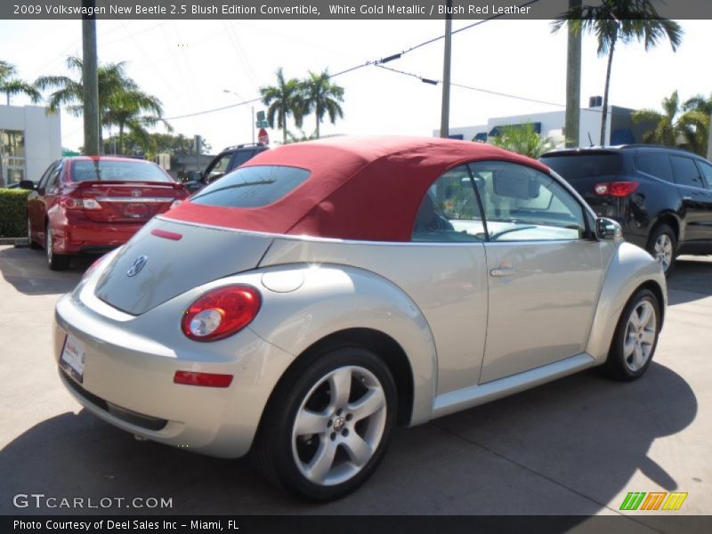  2009 New Beetle 2.5 Blush Edition Convertible White Gold Metallic