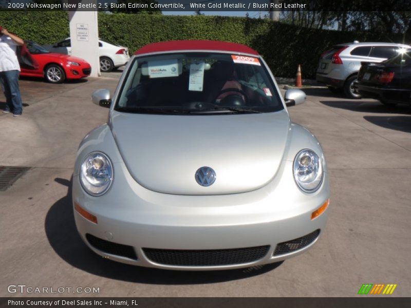 White Gold Metallic / Blush Red Leather 2009 Volkswagen New Beetle 2.5 Blush Edition Convertible