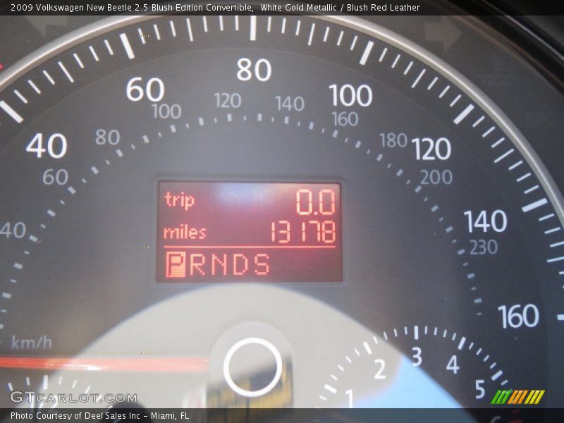 White Gold Metallic / Blush Red Leather 2009 Volkswagen New Beetle 2.5 Blush Edition Convertible