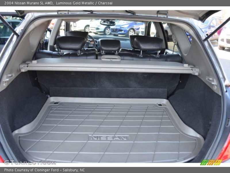 Luminous Gold Metallic / Charcoal 2004 Nissan Murano SL AWD