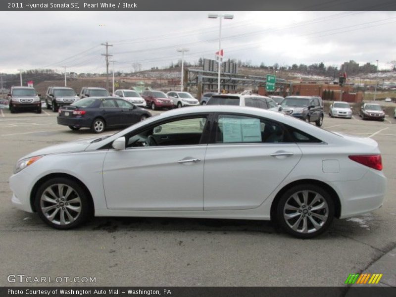 Pearl White / Black 2011 Hyundai Sonata SE