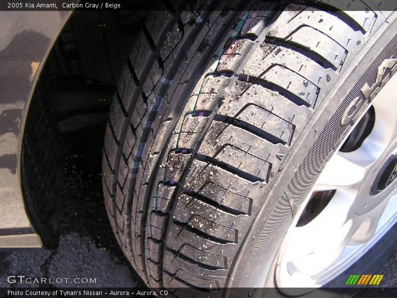 Carbon Gray / Beige 2005 Kia Amanti