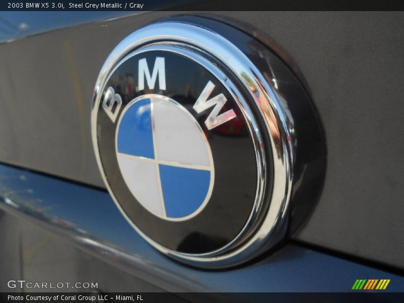 Steel Grey Metallic / Gray 2003 BMW X5 3.0i