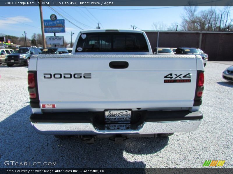 Bright White / Agate 2001 Dodge Ram 1500 SLT Club Cab 4x4