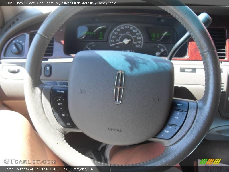 Silver Birch Metallic / Dove/Shale 2005 Lincoln Town Car Signature