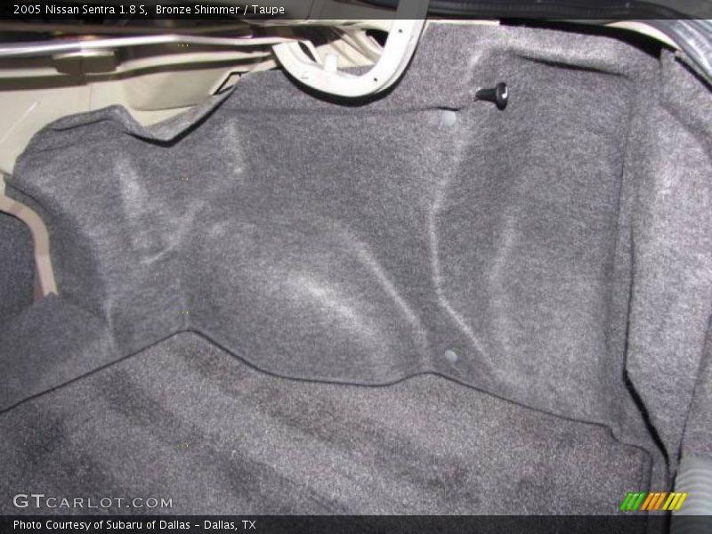 Bronze Shimmer / Taupe 2005 Nissan Sentra 1.8 S
