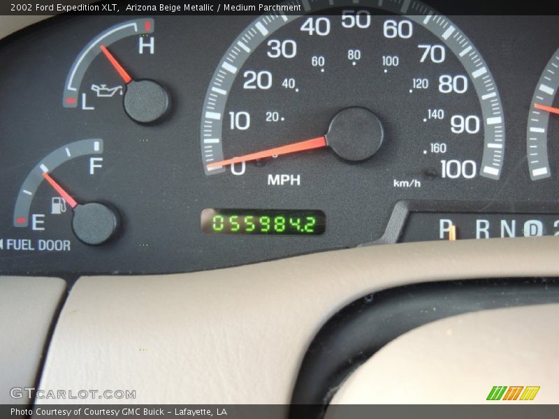 Arizona Beige Metallic / Medium Parchment 2002 Ford Expedition XLT