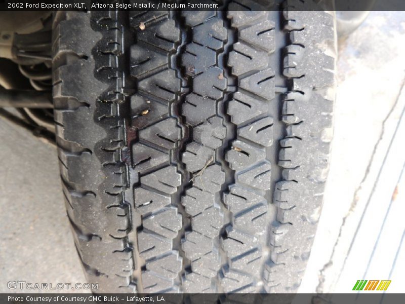 Arizona Beige Metallic / Medium Parchment 2002 Ford Expedition XLT