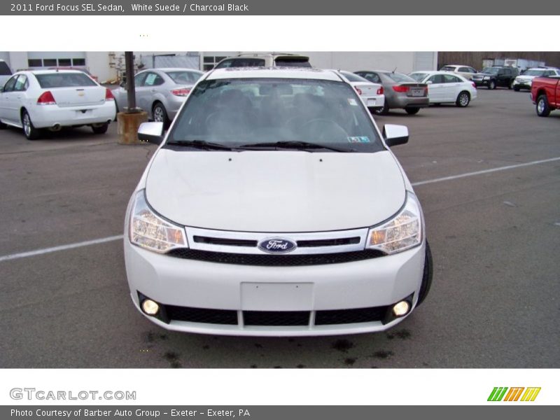 White Suede / Charcoal Black 2011 Ford Focus SEL Sedan