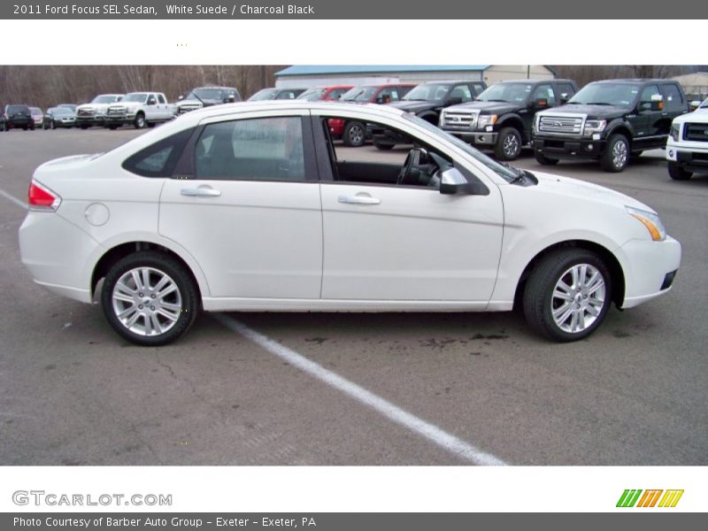 White Suede / Charcoal Black 2011 Ford Focus SEL Sedan