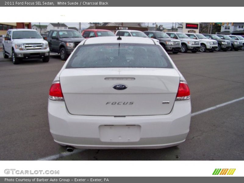 White Suede / Charcoal Black 2011 Ford Focus SEL Sedan
