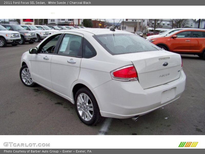 White Suede / Charcoal Black 2011 Ford Focus SEL Sedan