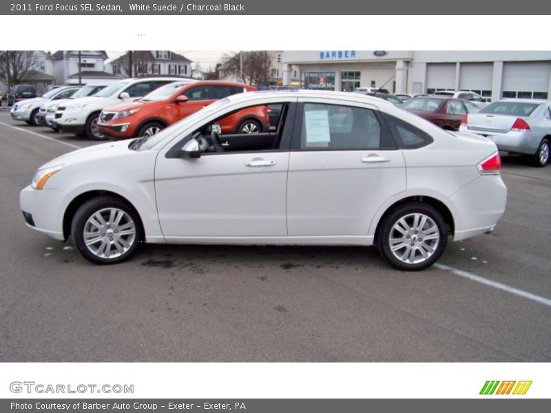 White Suede / Charcoal Black 2011 Ford Focus SEL Sedan