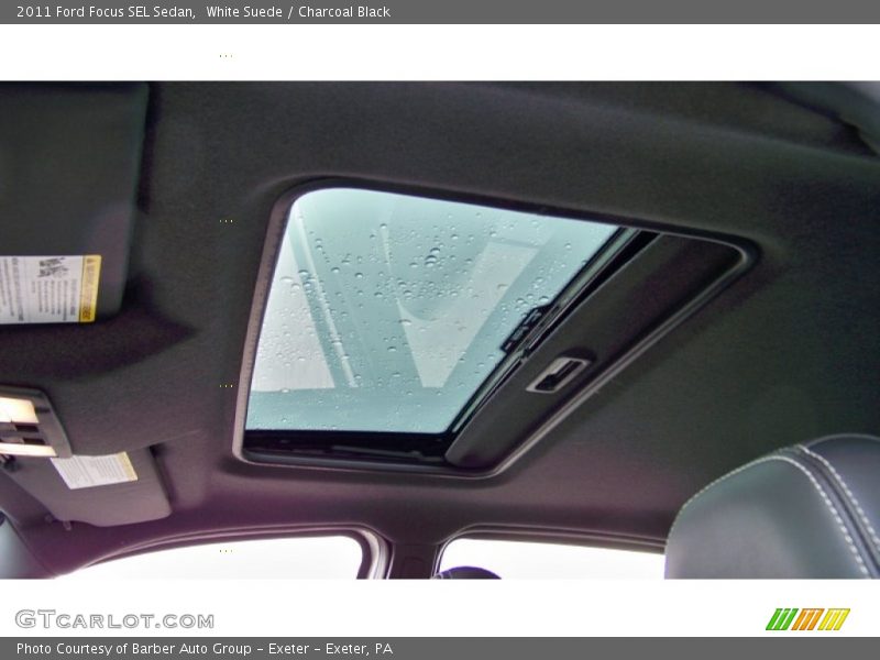 White Suede / Charcoal Black 2011 Ford Focus SEL Sedan