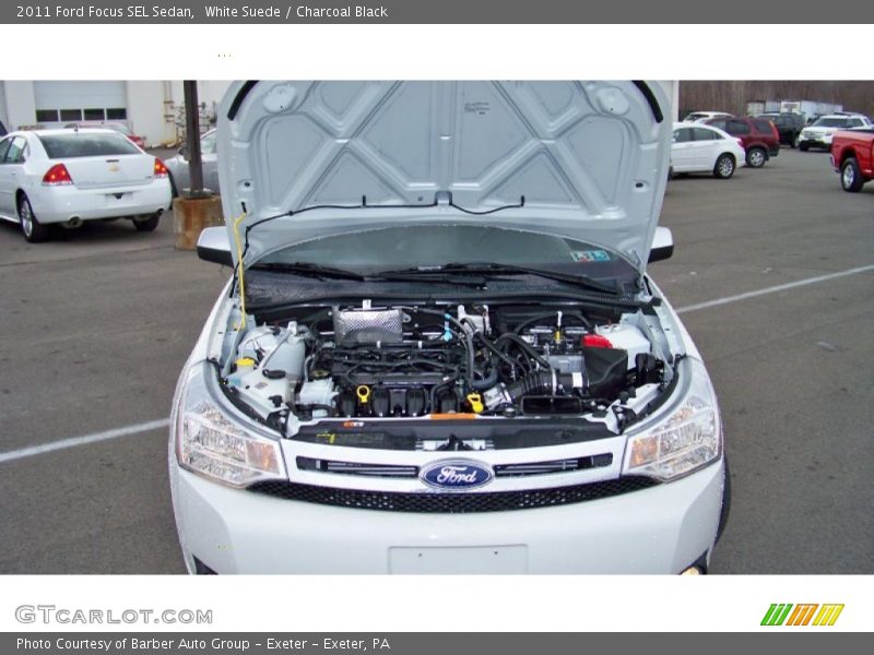 White Suede / Charcoal Black 2011 Ford Focus SEL Sedan