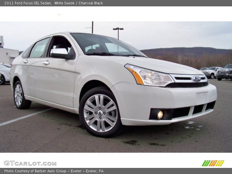 White Suede / Charcoal Black 2011 Ford Focus SEL Sedan