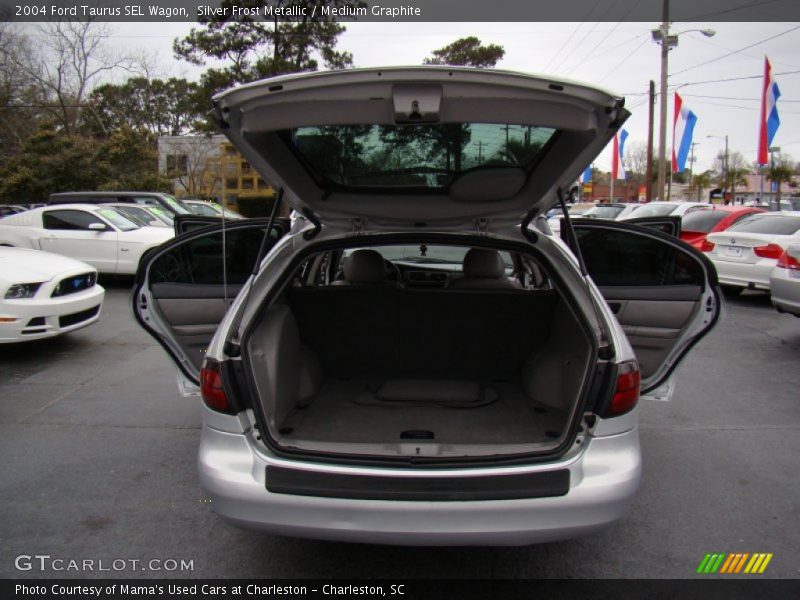 Silver Frost Metallic / Medium Graphite 2004 Ford Taurus SEL Wagon