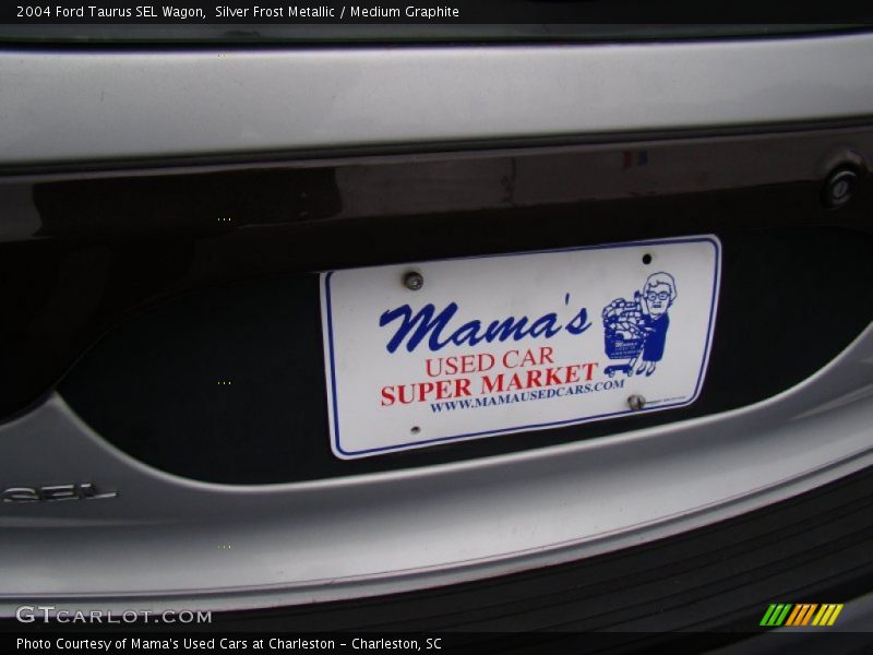Silver Frost Metallic / Medium Graphite 2004 Ford Taurus SEL Wagon