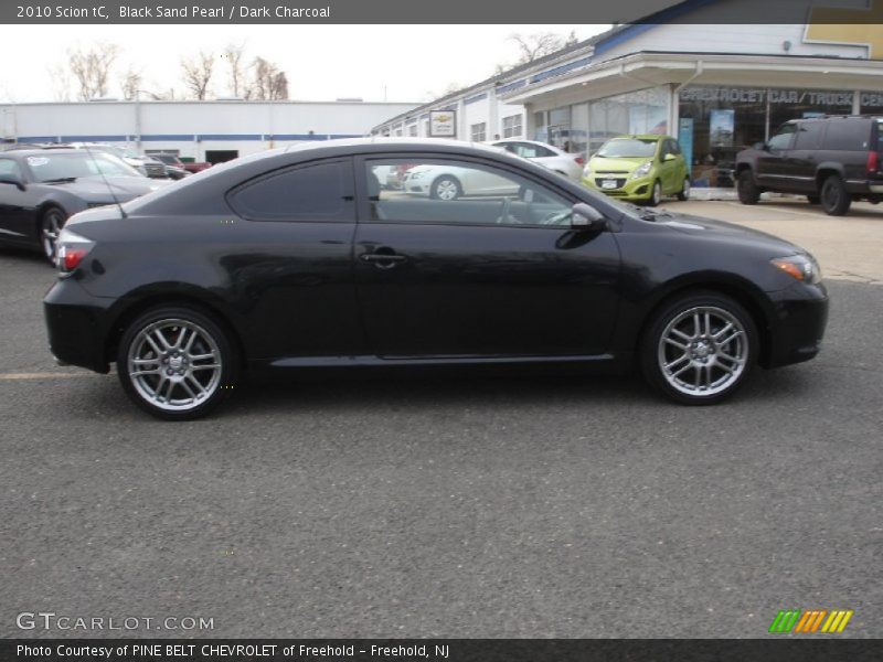 Black Sand Pearl / Dark Charcoal 2010 Scion tC