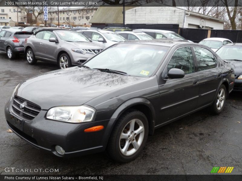 Gray Lustre Metallic / Black 2001 Nissan Maxima SE
