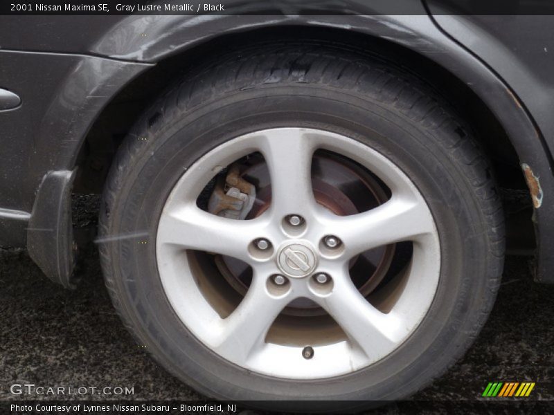 Gray Lustre Metallic / Black 2001 Nissan Maxima SE