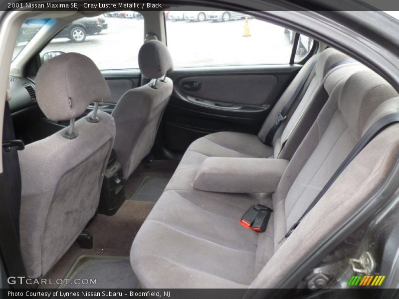 Gray Lustre Metallic / Black 2001 Nissan Maxima SE