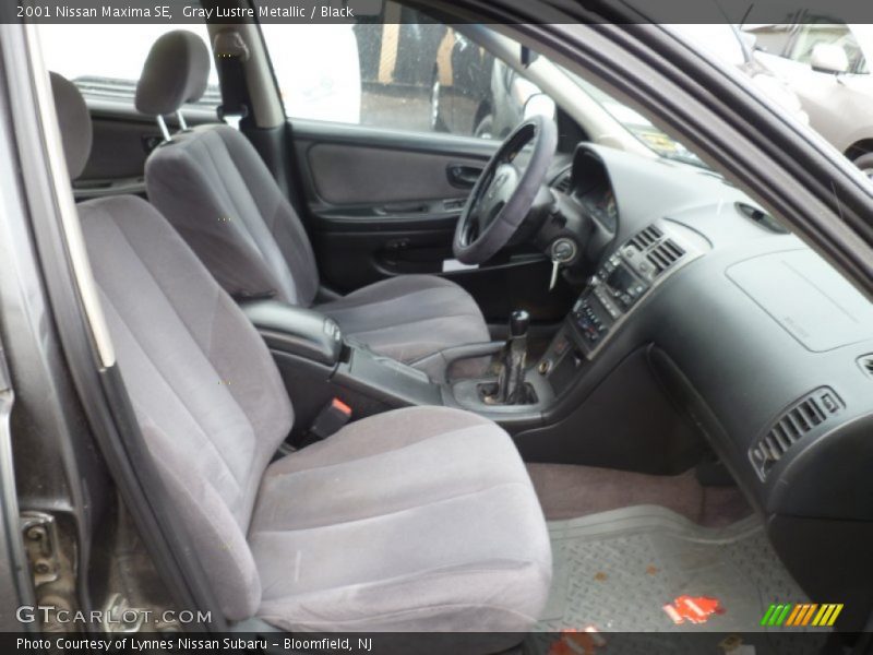 Gray Lustre Metallic / Black 2001 Nissan Maxima SE