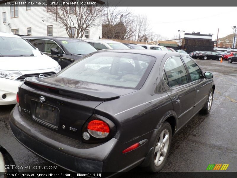 Gray Lustre Metallic / Black 2001 Nissan Maxima SE