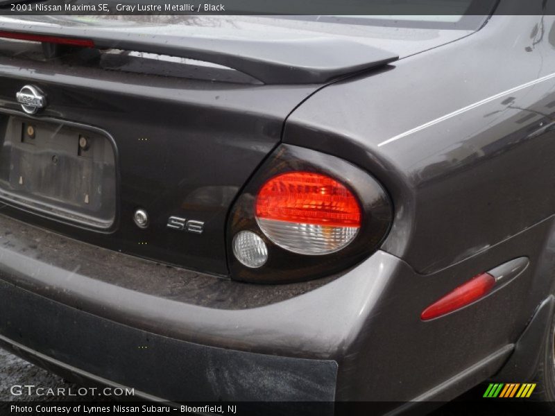 Gray Lustre Metallic / Black 2001 Nissan Maxima SE