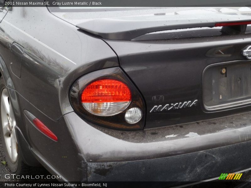 Gray Lustre Metallic / Black 2001 Nissan Maxima SE