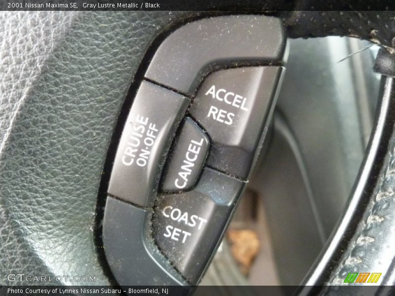 Gray Lustre Metallic / Black 2001 Nissan Maxima SE