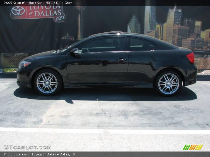 Black Sand Mica / Dark Gray 2005 Scion tC