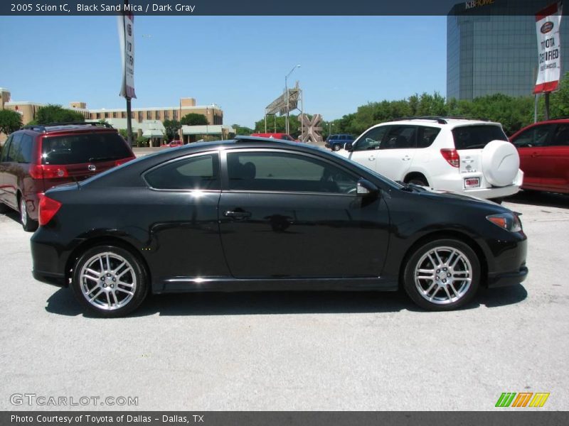 Black Sand Mica / Dark Gray 2005 Scion tC