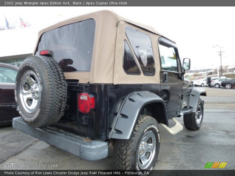 Black / Apex Cognac Ultra-Hide 2002 Jeep Wrangler Apex Edition 4x4
