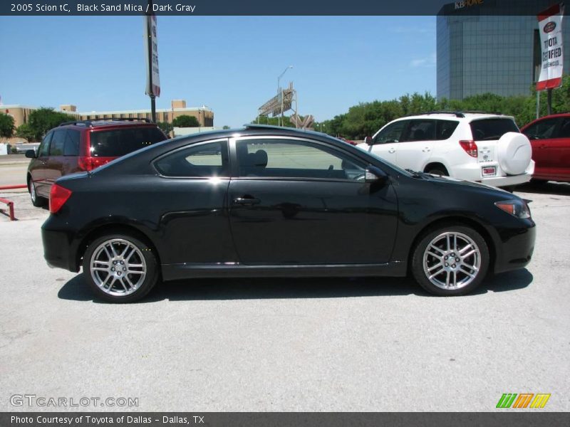 Black Sand Mica / Dark Gray 2005 Scion tC