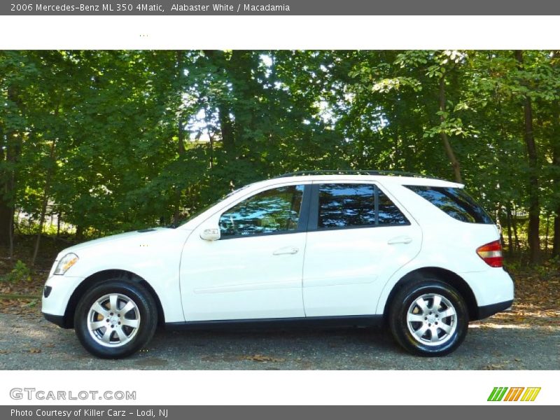 Alabaster White / Macadamia 2006 Mercedes-Benz ML 350 4Matic