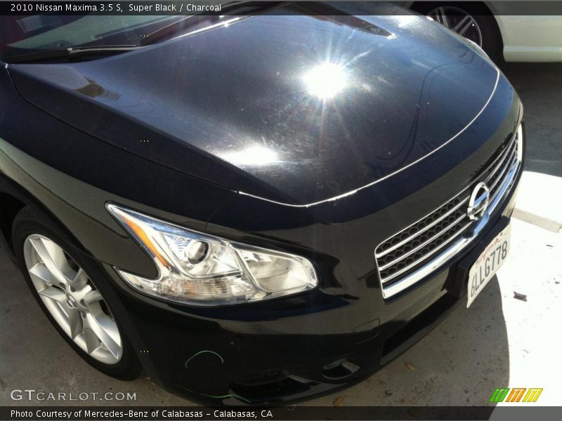 Super Black / Charcoal 2010 Nissan Maxima 3.5 S