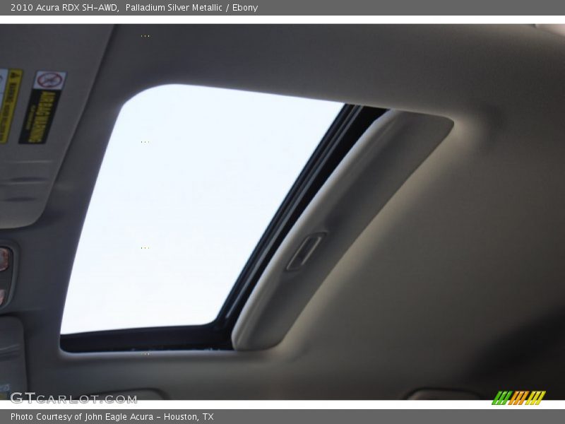 Palladium Silver Metallic / Ebony 2010 Acura RDX SH-AWD