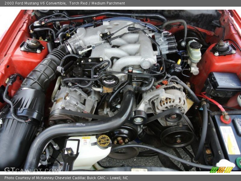 Torch Red / Medium Parchment 2003 Ford Mustang V6 Convertible