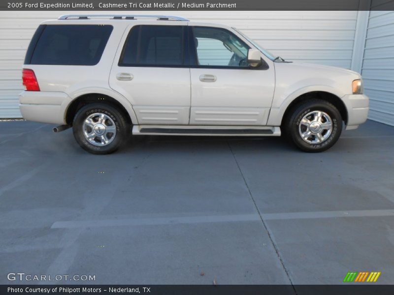 Cashmere Tri Coat Metallic / Medium Parchment 2005 Ford Expedition Limited