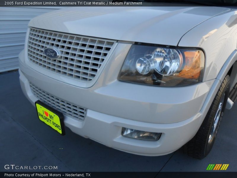 Cashmere Tri Coat Metallic / Medium Parchment 2005 Ford Expedition Limited