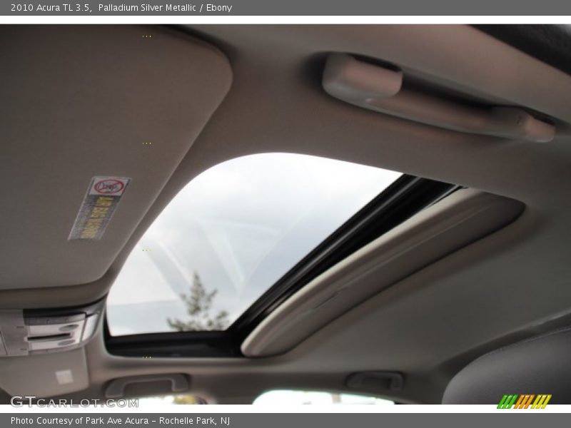 Palladium Silver Metallic / Ebony 2010 Acura TL 3.5