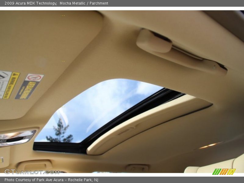 Mocha Metallic / Parchment 2009 Acura MDX Technology