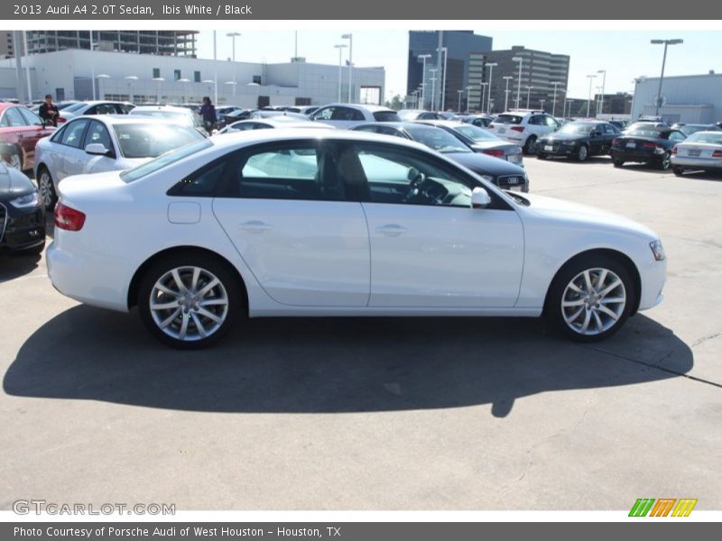 Ibis White / Black 2013 Audi A4 2.0T Sedan