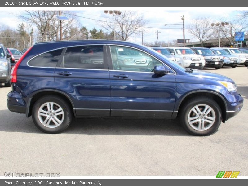 Royal Blue Pearl / Gray 2010 Honda CR-V EX-L AWD
