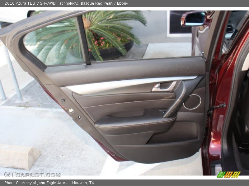 Door Panel of 2010 TL 3.7 SH-AWD Technology