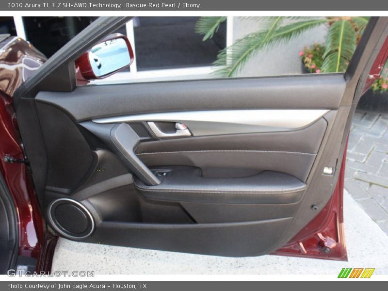 Door Panel of 2010 TL 3.7 SH-AWD Technology