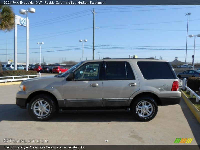 Pueblo Gold Metallic / Medium Parchment 2004 Ford Expedition XLT
